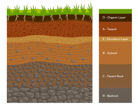 Soil layer infographic, earth geology formation 14041688 Vector Art at Vecteezy