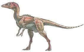 Eoraptor dinosaurs , facts | pictures -Eoraptor habitat.