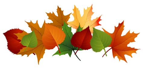 Fall leaves fall leaf clipart no background free clipart images - Clipartix