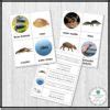 River Animals Vocabulary 3 Part Cards - Montessori Nature Printables