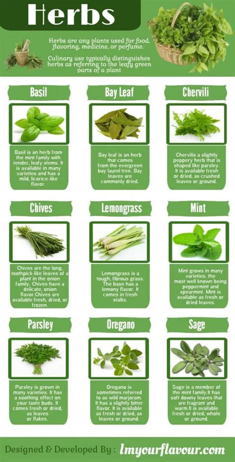 List Of 30 Herbs And Their Uses Herbs Herbal Plants Herbs List - Riset