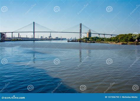 Savannah River Bridge stock image. Image of bridge, suspension - 137356793