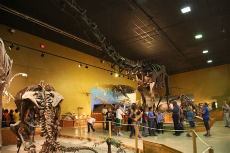 The Wyoming Dinosaur Center & Dig Sites – Thermopolis, Wyoming