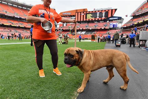 RIP to Swagger, the Browns’ former mascot dog - Dawgs By Nature