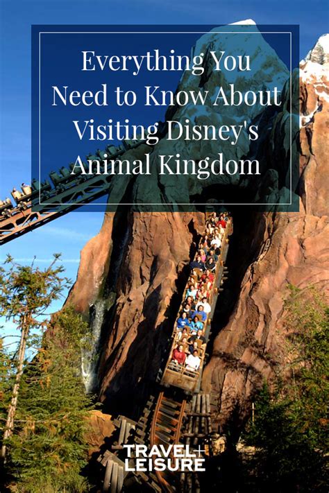 Everything You Need to Know About Visiting Disney's Animal Kingdom # ...