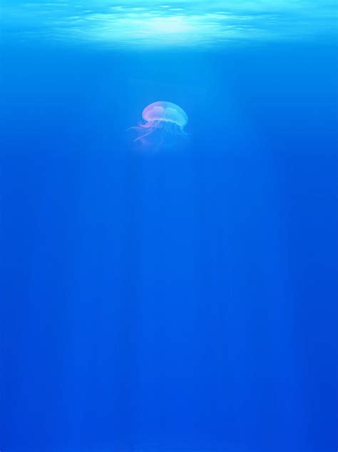 The Deep Blue Ocean Background Wallpaper Image For Free Download - Pngtree