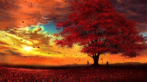 Anime Original Tree Fall Leaf Sun Peace Cloud Wallpaper | Anime scenery ...