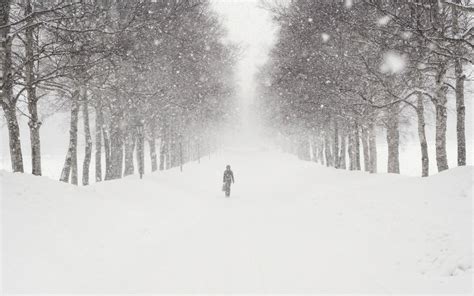 Blizzard Wallpaper - WallpaperSafari