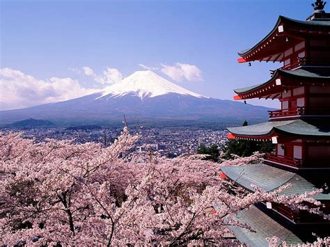 HD wallpaper: Cherry blossoms, Japan, Mount Fuji, city, architecture | Wallpaper Flare