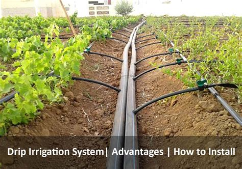 Garden Irrigation Systems Design - Image to u