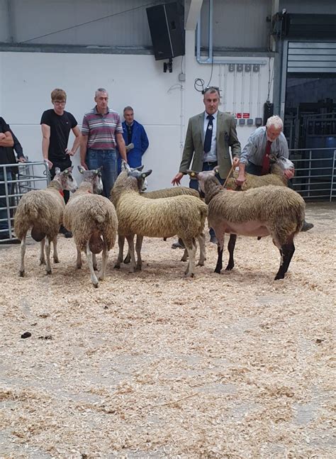 Ruthin 2023 | Bluefaced Leicester Sheep Breeders' Association