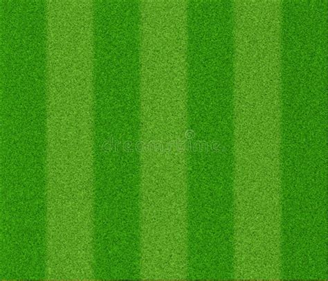 Football grass texture stock illustration. Illustration of design - 26421213