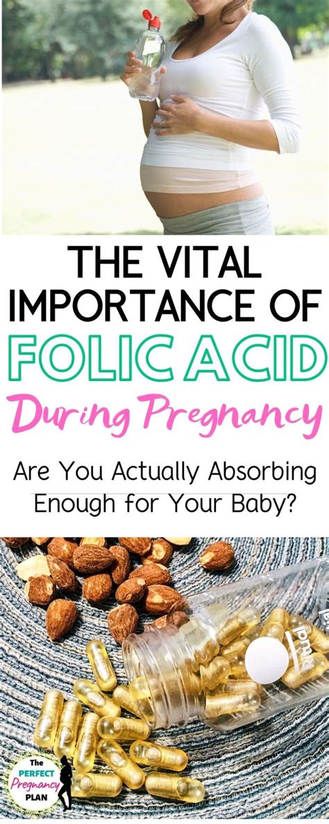 Folate vs. Folic Acid for Pregnancy: Everything you Need to Know