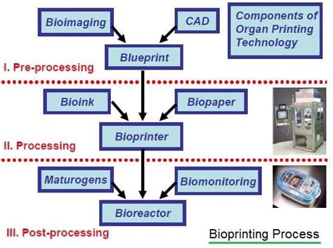 3D Bioprinting | 3D Bio-Printer | Printing Body Parts