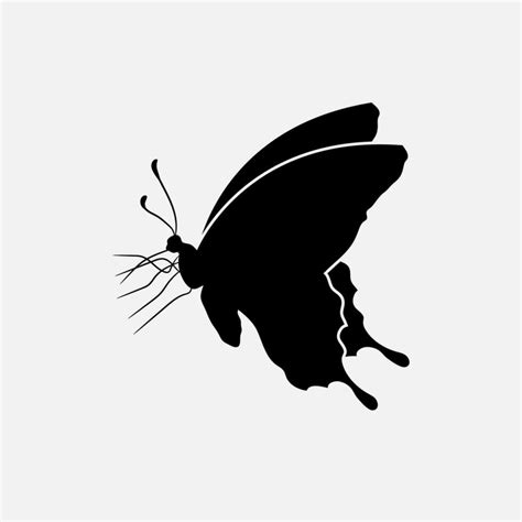 Butterfly vector png 31114451 Vector Art at Vecteezy