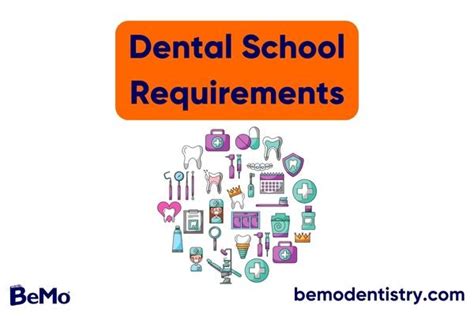 Dental School Requirements: Your Guide in 2023 | BeMo®