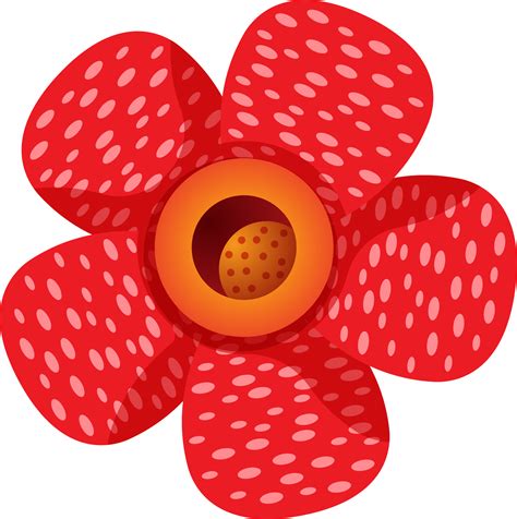 Rafflesia Arnoldii Malaysia clipart PNG 23378738 PNG