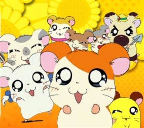 Hamtaro (US) Season 1 Air Dates & Countdown