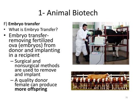 Introduction to Animal Biotechnology