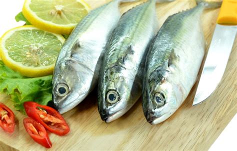 MACKEREL/AYALA - Fresh Kerala Store