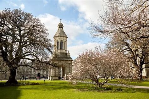 Three Irish universities listed among the top 100 institutions in ...