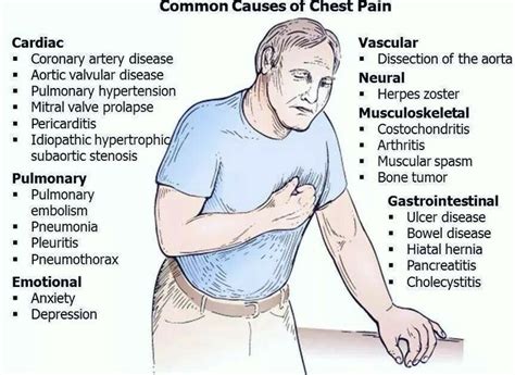 Upper Left Side Back Pain Causes Treatment » Lavanderiahome