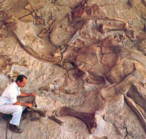 GeoLog Blog: Dinosaur National Monument