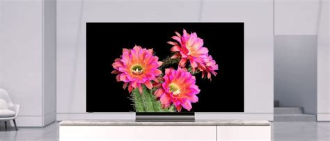 Vizio OLED TV review: The best OLED TV value | Tom's Guide