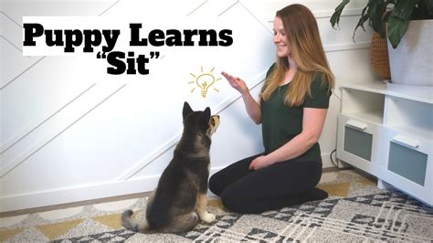 Step-By-Step Tutorial: Train Your Puppy to Sit - YouTube