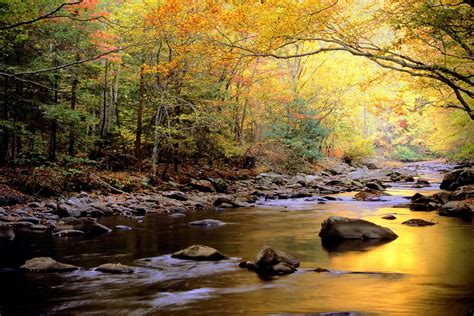 Great Smoky Mountains National Park Wallpapers - Wallpaper Cave