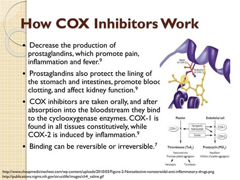 PPT - COX Inhibitors and Blood Coagulation PowerPoint Presentation ...