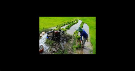 Newly developed irrigation maps for South Asia presented | CCAFS: CGIAR research program on ...