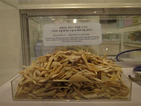 Plastic Surgery Clinic In Seoul Has A Tower Of Patients' Jaw Bone ...