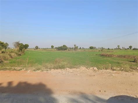 Agricultural Land 4840 Sq. Yards for Sale in Sohna Road, Gurgaon (REI1249411)