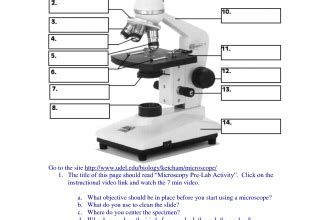 Compound Microscopes , 5 Parts Of The Microscope Quiz In Cell Category | Quiz, Microscope ...