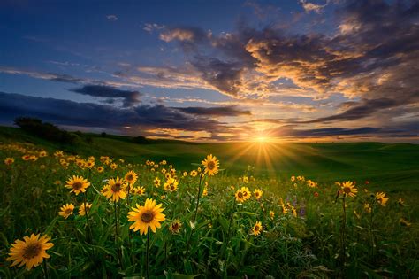 Download Landscape Nature Sunrise HD Wallpaper