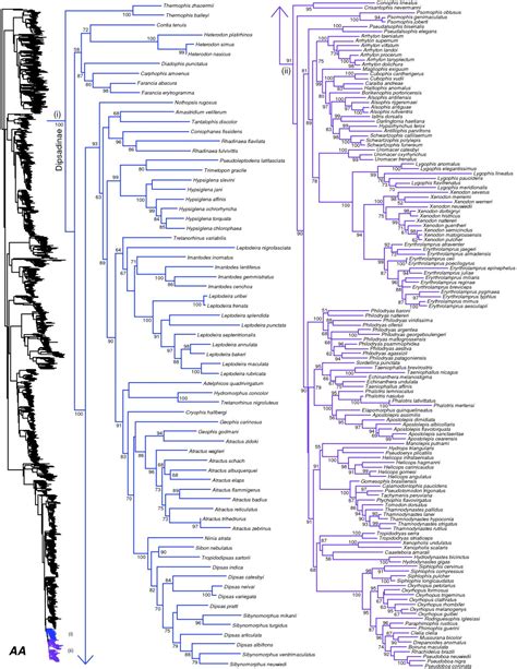 A phylogeny and revised classification of Squamata, including 4161 species of lizards and snakes ...