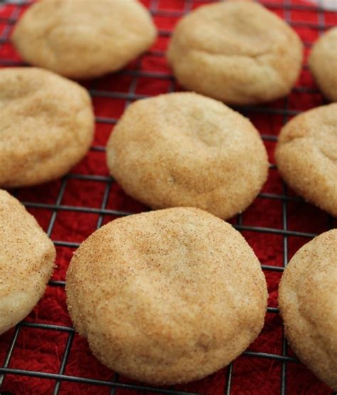 Easy Snickerdoodle Cookies Without Butter Recipe - The Frugal South