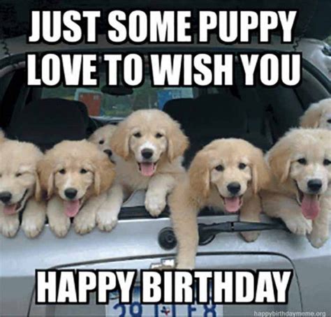 101 Funny Happy Birthday Dog Memes for Paw Lovers Everywhere | Happy ...