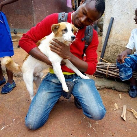 Liberia Animal Welfare and Conservation Society 2018 Annual Success ...