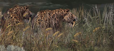 Smilodon detail, White Sands Pleistocene Environment by Karen Carr, for ...