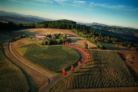 Dundee Oregon Wine Country Visitors Guide