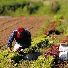 Organic Farming Methods | BioLinked Blog