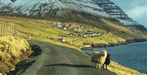 Stunning Bridges, Artful Tunnels and Ferries: An Incredible Faroe ...