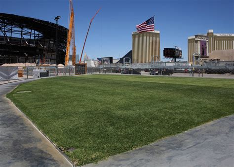 Allegiant Stadium crews test grass for Raiders’ field | Las Vegas ...