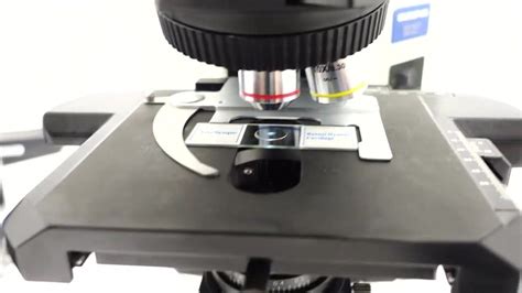 Olympus Fluorescence Microscope, For Laboratory at best price in Ambala