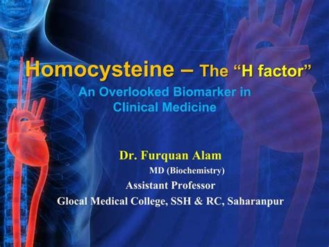 Homocysteine And Cardiovascular Disease