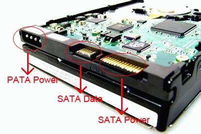 usb - what is a PATA power port doing on my 3.5" desktop SATA HDD? - Super User