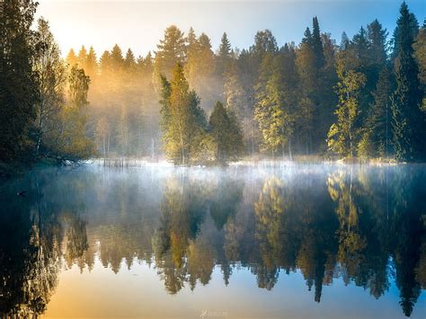 HD wallpaper: Morning forest, fog, lake, trees, autumn, Finland ...