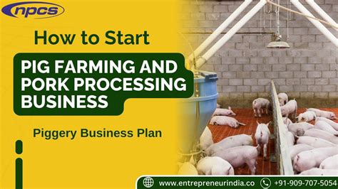 How to Start Pig Farming and Pork Processing Business, Piggery Business Plan - YouTube